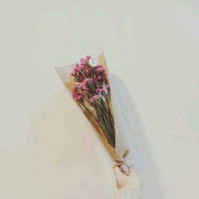 舞神手游果盘版下载